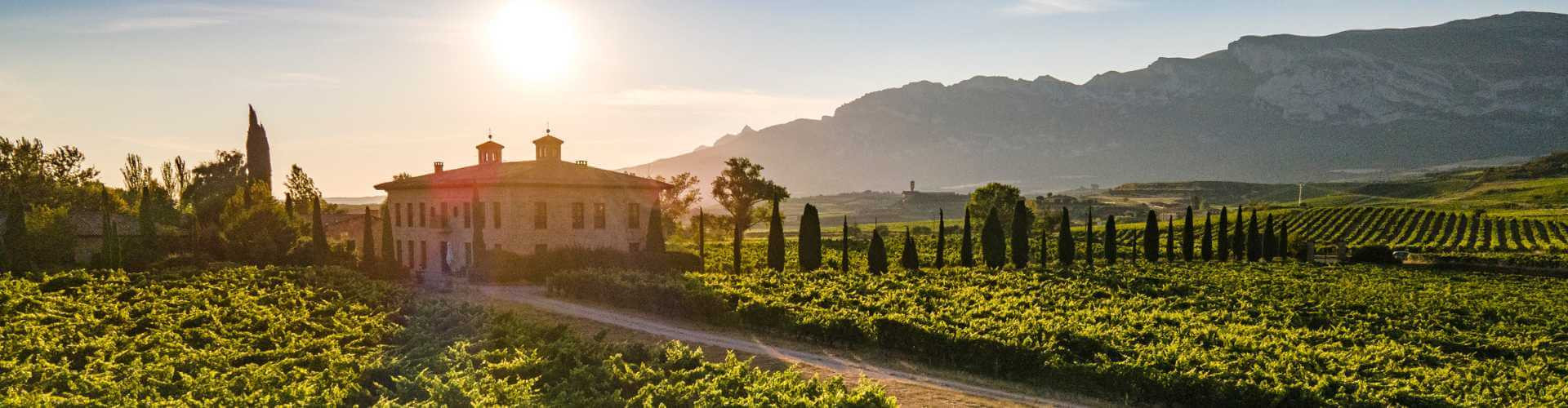 ▷ Descubra los vinos Torre de Oña de Bodega Torre de Oña